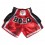 Muay Thai Shorts